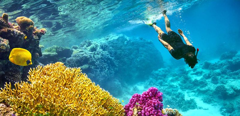 12 Tage Tour Kairo, Nilkreuzfahrt und Marsa Alam